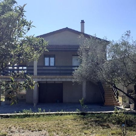 Jolie maison à louer dans les Cévennes Villa Saint-Christol-lès-Alès Esterno foto